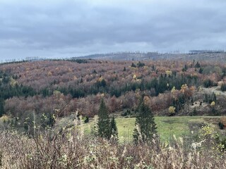 Holiday apartment Altenau im Oberharz Environment 22