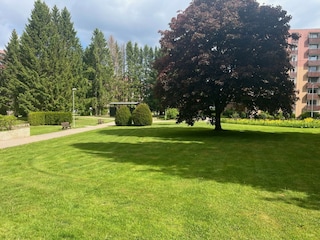 Der gepflegte Ferienpark
