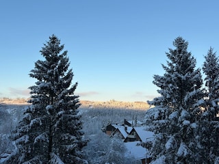 Winter 2025 Aussicht vom Balkon