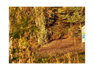 Landschaft