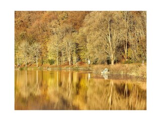 Landschaft
