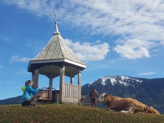 Casa de vacaciones Rettenberg Entorno 28