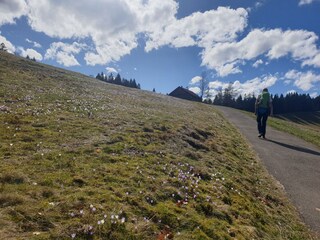 Casa de vacaciones Rettenberg Entorno 26