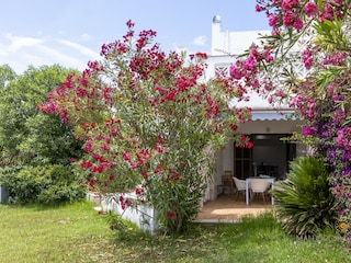 Apartment Pollensa Außenaufnahme 10