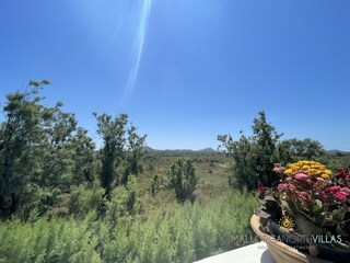 Apartment Pollensa Außenaufnahme 3