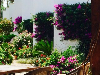 Apartment Pollensa Außenaufnahme 12