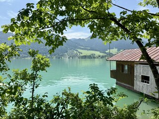 Appartement Walchsee Environnement 13