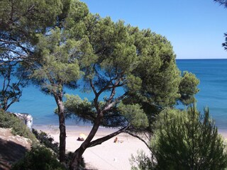 Vakantiehuis Miami Playa Omgeving 18