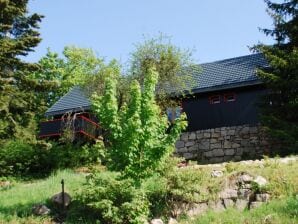 Ferienhaus Sonnenloipe - Eibenstock - image1