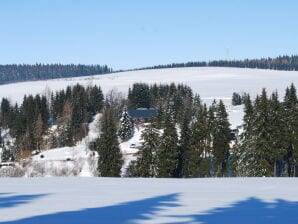 Ferienhaus Sonnenloipe - Eibenstock - image1