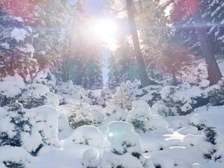 Apartamento Gerlosberg Entorno 30