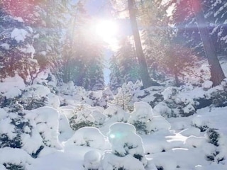 Apartment Gerlosberg Umgebung 32