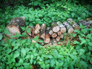 Vakantiehuisje Manhay  40