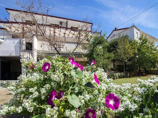 Ferienpark Starigrad Außenaufnahme 4