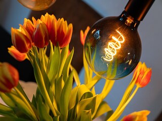 Appartamento Büsum  27