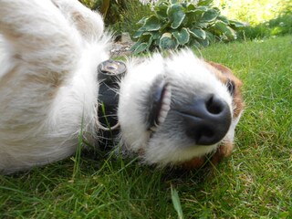 Casa per le vacanze Celle Registrazione all'aperto 19