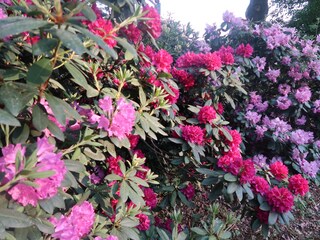 Casa per le vacanze Celle Ambiente 22