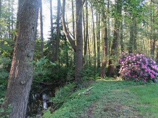 Casa per le vacanze Celle Ambiente 24