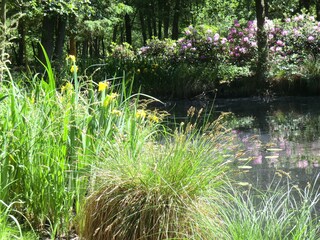 Casa per le vacanze Celle Ambiente 25