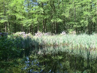 Casa per le vacanze Celle Ambiente 26