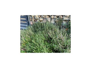 Casa per le vacanze Kołczewo Registrazione all'aperto 3