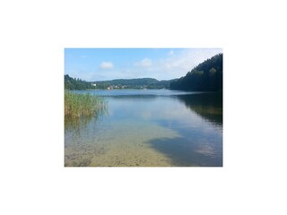 Casa per le vacanze Kołczewo Ambiente 25