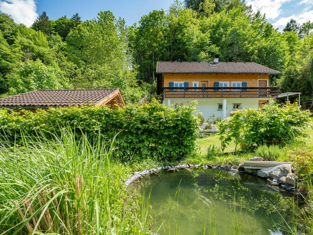 Garden with a small pond