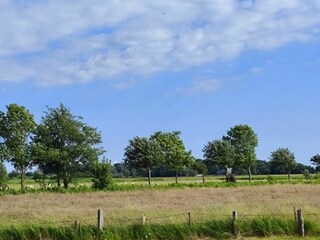 panorama view out back