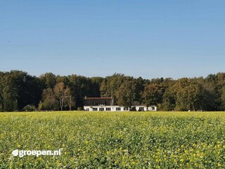 Vakantiehuis Wittelte Buitenaudio-opname 3