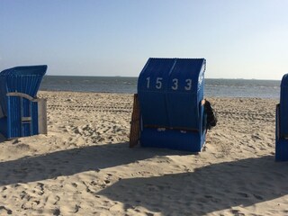 1533:Ihr Strandkorb in der ersten Reihe