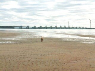 Ferienwohnung Ellemeet Umgebung 16