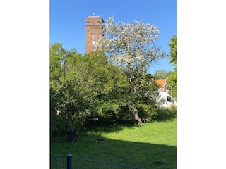 Der Blick vom Balkon
