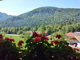 Ferienwohnung Weißbach an der Alpenstraße Außenaufnahme 3