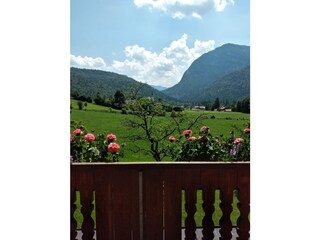 Ferienwohnung Weißbach an der Alpenstraße Umgebung 20