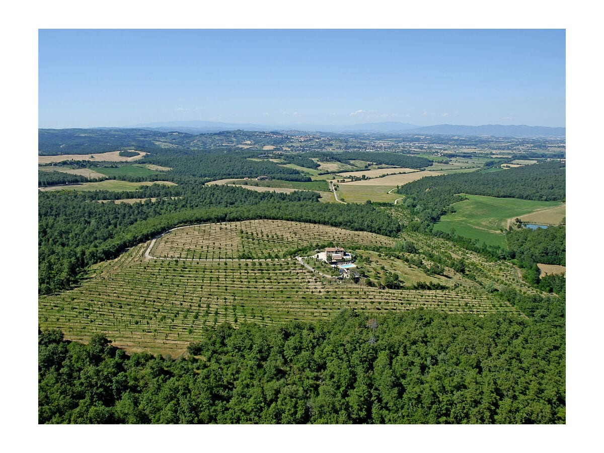 Mitten in Weinbergen und Olivenhainen liegt das Podere