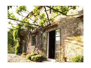 Wein bewachsene Pergola