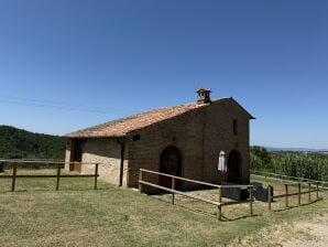 Ferienhaus Ovilino 1319 - San Giovanni d'Asso - image1