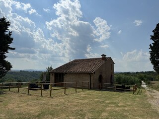 Ferienhaus San Giovanni d'Asso Außenaufnahme 2