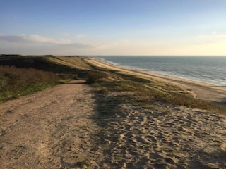 Parc de vacances Dishoek Environnement 13