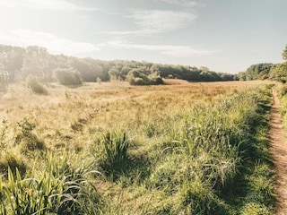 Ferienpark Dishoek Umgebung 22