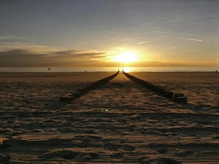 Parc de vacances Dishoek Environnement 20