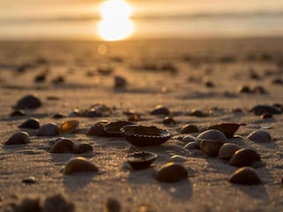 Parc de vacances Dishoek Environnement 14