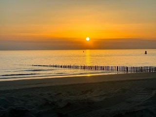Ferienpark Dishoek Umgebung 18