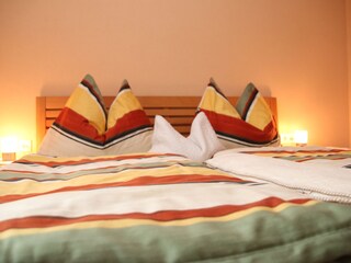 Appartamento per vacanze Schlitters Caratteristiche 11