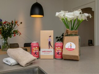 Type de propriété : Ferme Heinkenszand  35