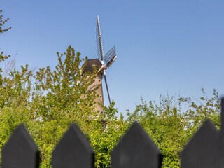 Farmhouse Heinkenszand Outdoor Recording 9
