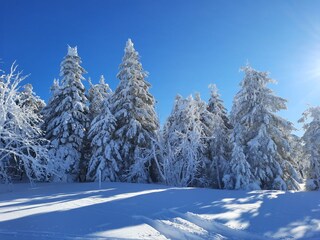 Appartamento per vacanze Oberwiesenthal Ambiente 36