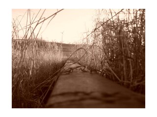 ... ehemalige Bahntrasse abfahren  (  ab 2026 )