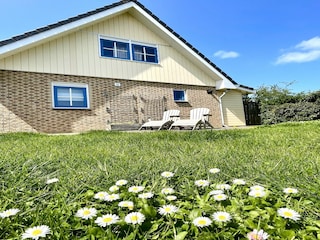 Ferienhaus Schoorl Außenaufnahme 5