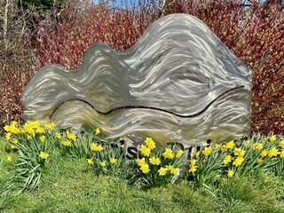 Holiday house Schoorl Outdoor Recording 4